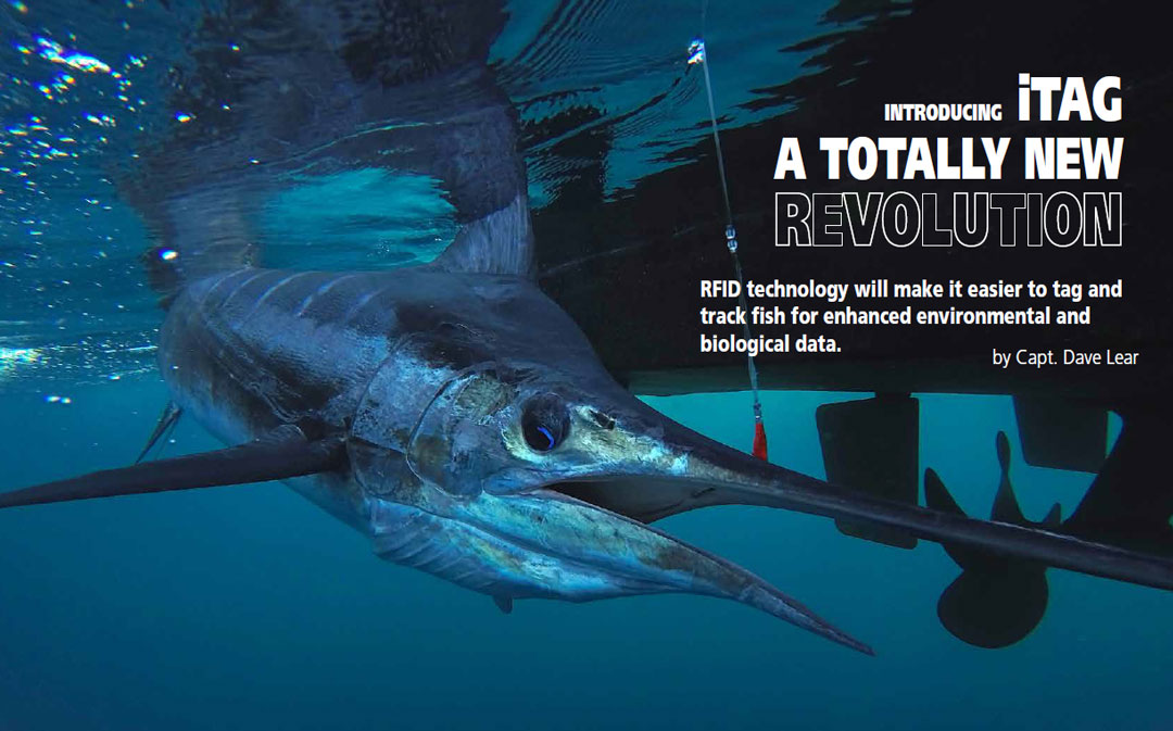 iTAG - A Revolutionary Fish Tagging Technology