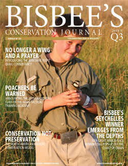 Bisbee's Conservation Journal Cover Image | Issue 03
