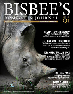 Bisbee's Conservation Journal Cover Image | Issue 01